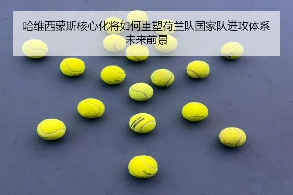 ha-wei-xi-meng-si-he-xin-hua-jiang-ru-he-zhong-su-he-lan-dui-guo-jia-dui-jin-gong-ti-xi-wei-lai-qian-jing-2-212.jpg