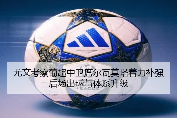 尤文考察葡超中卫席尔瓦莫塔着力补强后场出球与体系升级